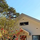 덕스테이 이미지