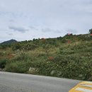 함평현대서비스 이미지