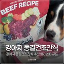 산하푸드 | 강아지 동결건조간식 추천 트러스티푸드 권하는 이유