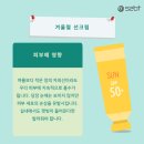 주식회사 더에스투 네이버블로그
