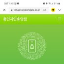 용인자연휴양림2 이미지