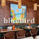 블루버드(BLUEBIRD) | 밴프 스테이크 맛집 | 블루버드 스테이크 Bluebird Woodfired Steakhouse 후기