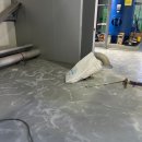 상승도장 이미지