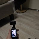 나는 영상크리에이터 | DJI 오즈모 포켓3 크리에이터 콤보 구매!! 내돈내산 후기