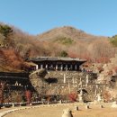 삼성궁 이미지