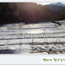 전일농장 이미지