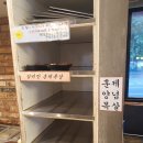 돼지대학교 이미지