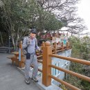 향일암전망대 이미지