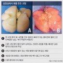 과학자의 실험실 이미지