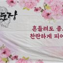 용호태권도장 이미지