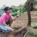 의전마을 이미지