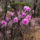 전망좋은곳 이미지