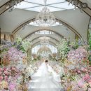 혜성가든 | 💍L65 가든홀 본식서브스냅 나비아스튜디오 계약 후기_메인같은서브찾기(짝꿍코드有)💍