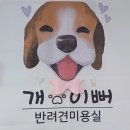 개 이쁜 애견미용샵 | ::천안시 동남구 애견미용샵 &#34;개이뻐&#34;- 애견 미용 후기,:: 애견미용샵 추천, 내돈내산