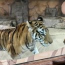 대전아쿠아리움 이미지