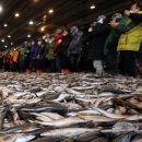 부산공동어시장 이미지