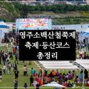 연화봉펜션 | 영주 소백산 철쭉축제, 키자니아·콘서트·등산코스까지! 초암사·삼가동·희방사 철죽제 여행