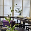 [에세이] 해운대 힐링 코스, 해운대호한의원 진료실 옆 차실 '담운재' 탄생 이야기