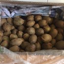 수호농장 이미지