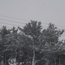 대광민박 이미지