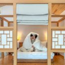 나랑스테이 이미지