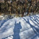 부여한라병원 | 눈덮인 한라산 윗세오름 영실 어리목 코스! 여자 혼자 겨울 한라산(뚜벅이 교통편 완벽정리)