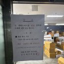 양재시장 | 양재 꽃시장 방문 후기 주차 가격 부케 만들기 꽃 구매