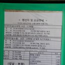 시외버스정류장_킹덤웨딩 네이버블로그