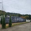 앙팡목장 | 강원도 홍천 체험형 신상 양떼목장 - 하양목장 (유아친화,애견동반)