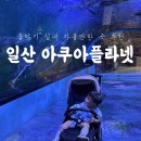 월드비전내놀이터 | 36개월 미만 아기 무료입장 일산 아쿠아플라넷 돌아기 오픈런 방문 후기, 이유식 먹이는 곳