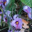 일산동물의료원 이미지