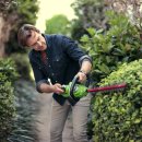 그린(61) 이미지