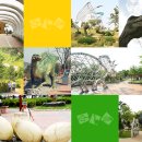 공룡박물관 이미지