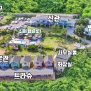 파트라슈 애견 펜션 이미지