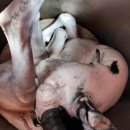 정복건강원