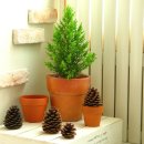 맛있는향기 이미지