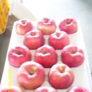 진영농장 이미지