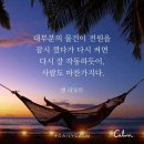번아웃 네이버블로그