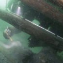 마도로 2 이미지