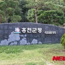 홍천읍 홍천로 강원 뉴시스