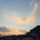 미사8단지정육점