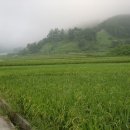 거창농장 이미지