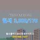 황소부동산공인중개사사무소 이미지