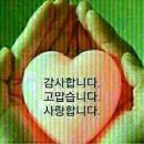 푸른풀밭