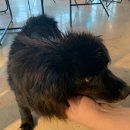 190워터프런트 | [포항] 포항 풀빌라 솔직후기 :: 190워터프런트