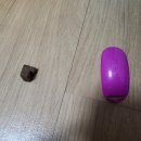 똑똑하개 이미지