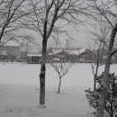 상경농장 이미지