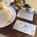 GS25 홍천화랑점 | 호텔 (실망)후기, 강릉짬뽕순두부, 시만차 포그, 강문해변, 홍천 써라운드 슬로우, 내돈내산, 솔직후기