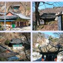 관고동-03 이미지