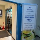 테라브런치 이미지